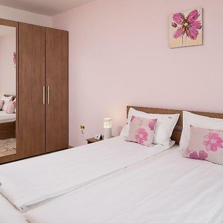 Brasov Holiday Apartments - Magenta エクステリア 写真